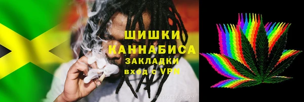 гашиш Богданович