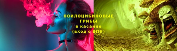 мескалин Богородицк