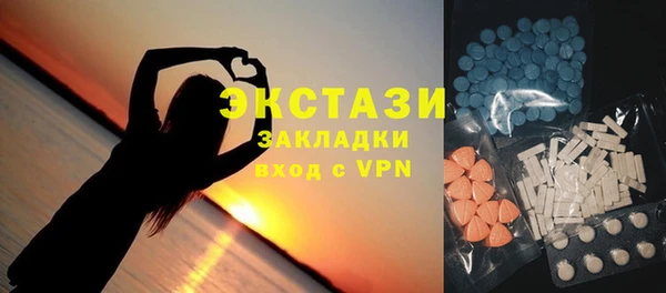 СК Богородск