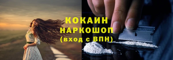 гашиш Богданович