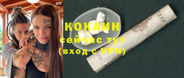 мескалин Богородицк