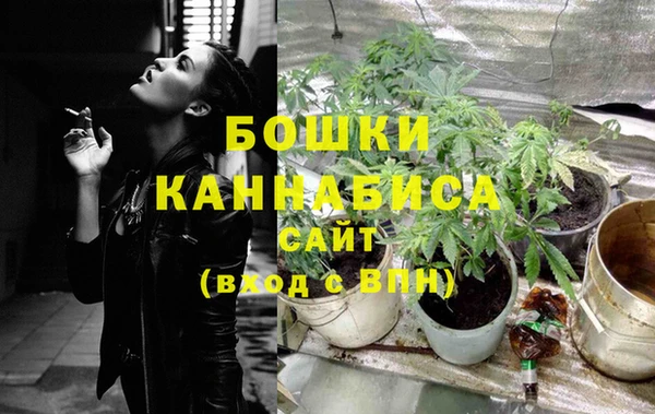 гашиш Богданович