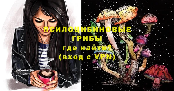 мескалин Богородицк