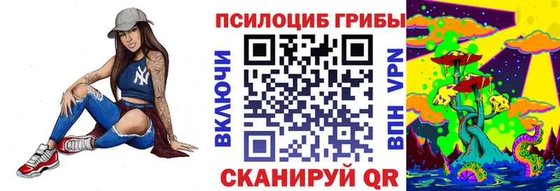 Купить закладки  Теберда  Галлюциногенные грибы Cubensis 