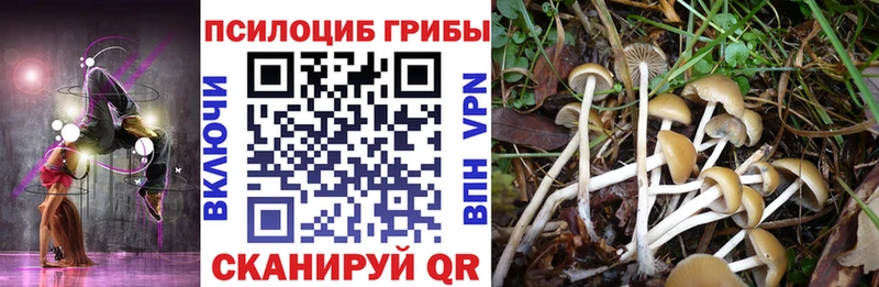 Галлюциногенные грибы Cubensis Теберда