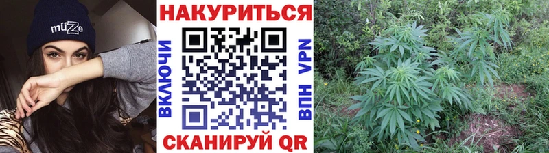 Марихуана планчик  Купить  Теберда 